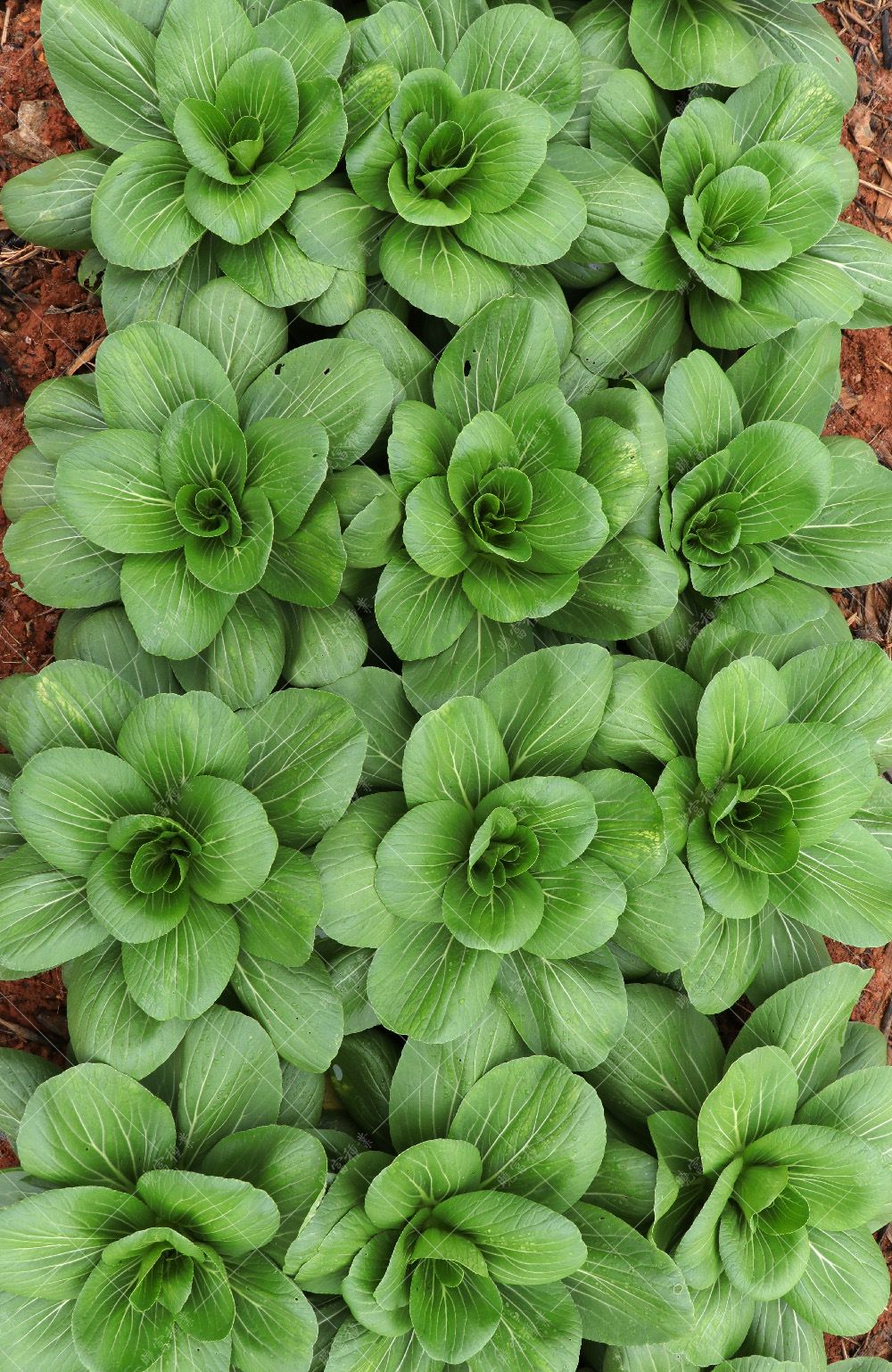 1557883459487915.jpg IMG_4181.jpg